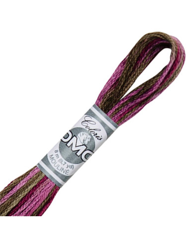 DMC Coloris borduurgaren Mouliné