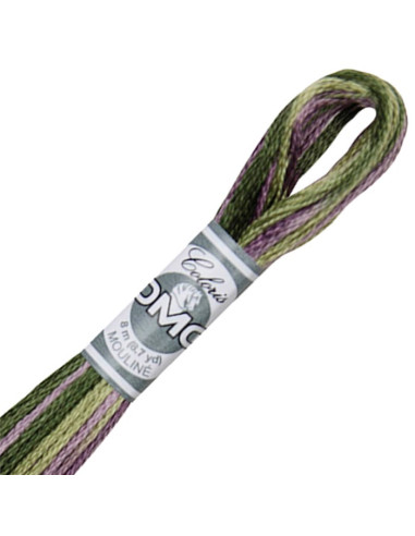 DMC Coloris borduurgaren Mouliné