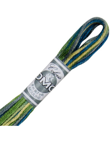 DMC Coloris borduurgaren Mouliné
