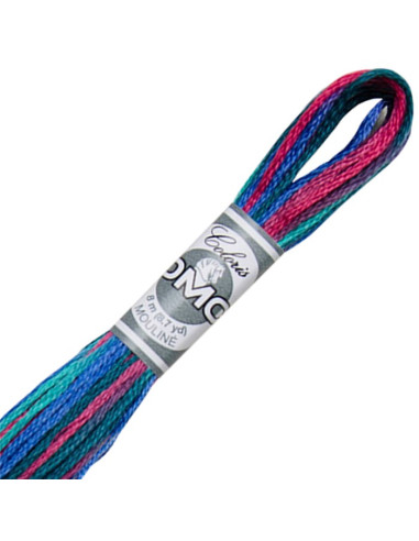 DMC Coloris borduurgaren Mouliné