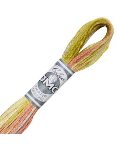 DMC Coloris borduurgaren Mouliné