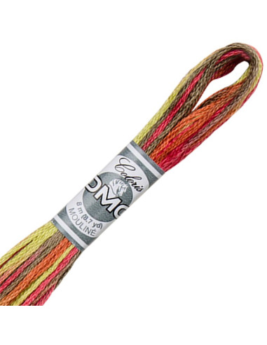 DMC Coloris borduurgaren Mouliné