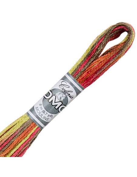 DMC Coloris borduurgaren Mouliné