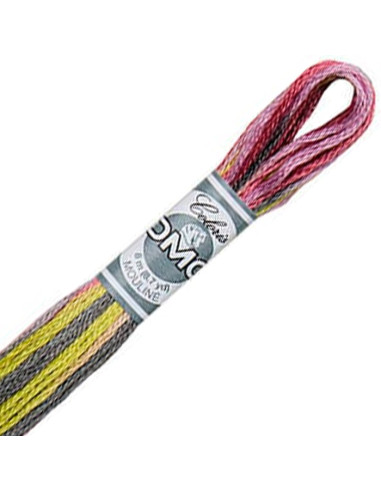 DMC Coloris borduurgaren Mouliné