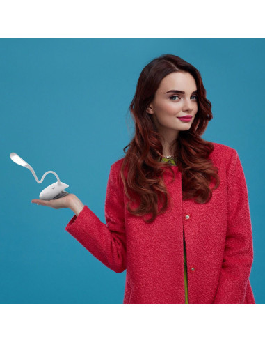 Daylight lamp met Smart Clip-on klem