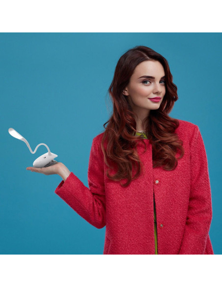 Daylight lamp met Smart Clip-on klem
