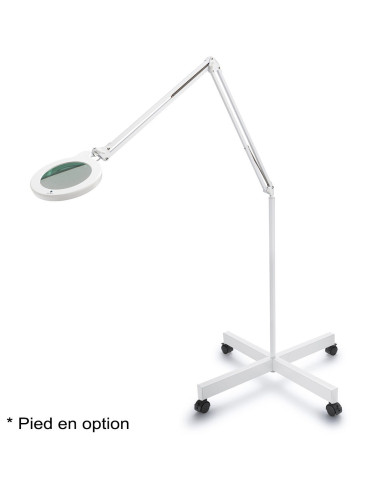 Daylight MAG S loeplamp