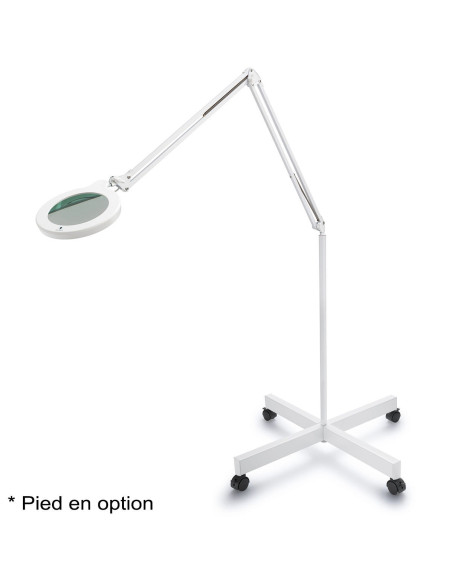 Daylight MAG S loeplamp