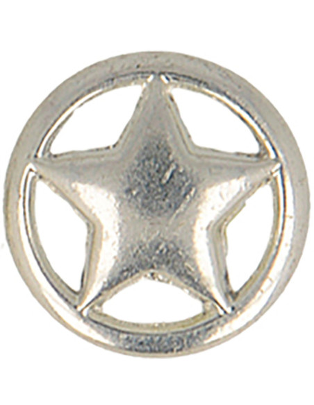 Metalen sterknop - Zilver