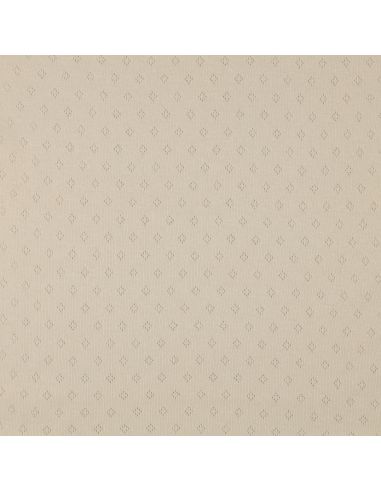 Pointelle gebreide jersey stof - Beige