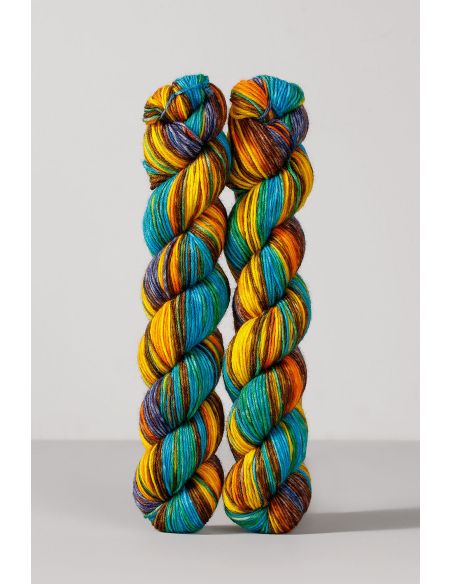 Set van 2 strengen sokkenwol Echoes Fingering Gusto Wool