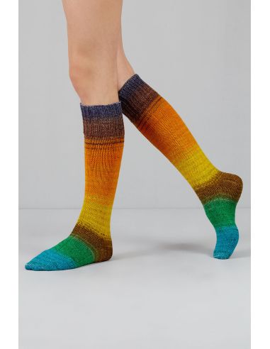 Set van 2 strengen sokkenwol Echoes Fingering Gusto Wool