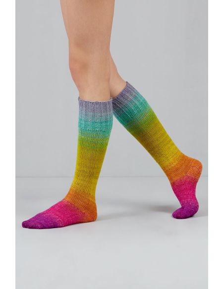 Set van 2 strengen sokkenwol Echoes Fingering Gusto Wool