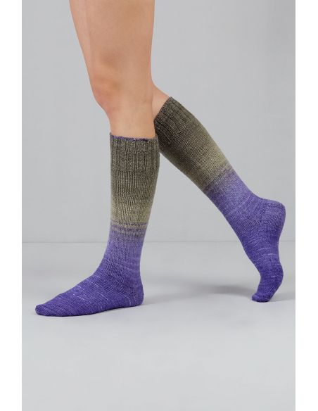 Set van 2 strengen sokkenwol Echoes Fingering Gusto Wool