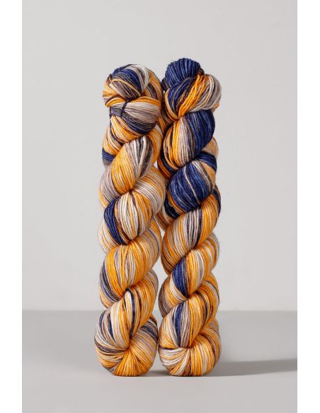 Set van 2 strengen sokkenwol Echoes Fingering Gusto Wool