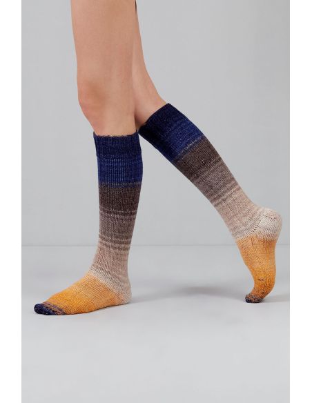 Set van 2 strengen sokkenwol Echoes Fingering Gusto Wool