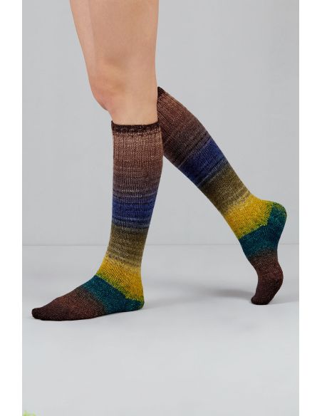 Set van 2 strengen sokkenwol Echoes Fingering Gusto Wool