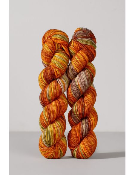 Set van 2 strengen sokkenwol Echoes Fingering Gusto Wool