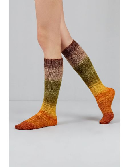 Set van 2 strengen sokkenwol Echoes Fingering Gusto Wool