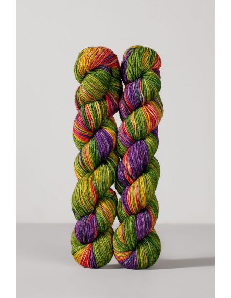 Set van 2 strengen sokkenwol Echoes Fingering Gusto Wool