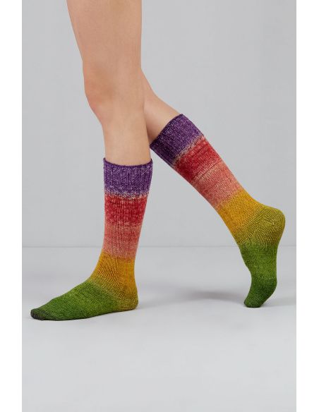 Set van 2 strengen sokkenwol Echoes Fingering Gusto Wool
