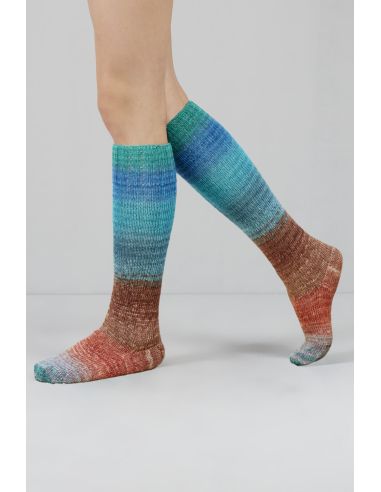 Set de 2 écheveaux de laine à chaussettes Echoes Fingering Gusto Wool