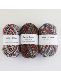 Sokkenwol Soqs & More 4-draads Arne & Carlos