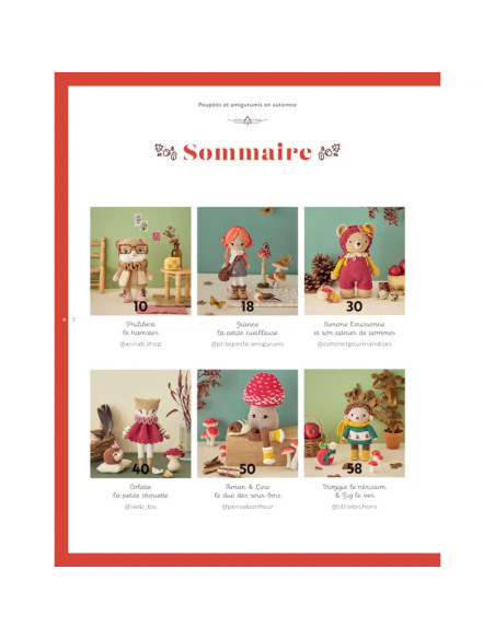 Boek poppen & amigurumi's in de herfst