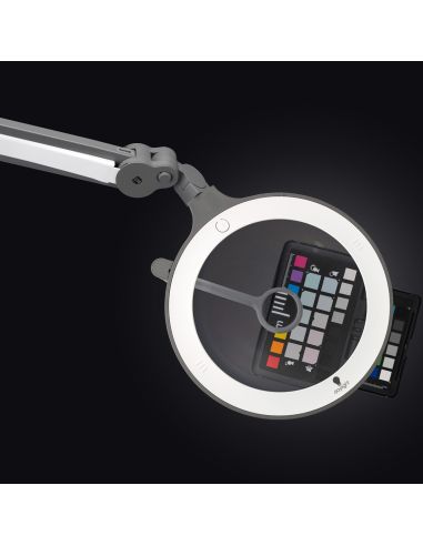 Daylight IQ LED loeplamp