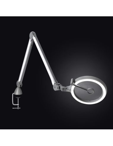 Daylight IQ LED loeplamp