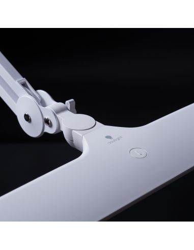 Daylight Lumi LED-werklamp