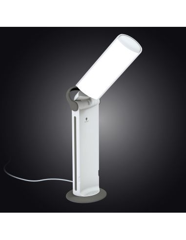 Draagbare Daylight twist 2 lamp
