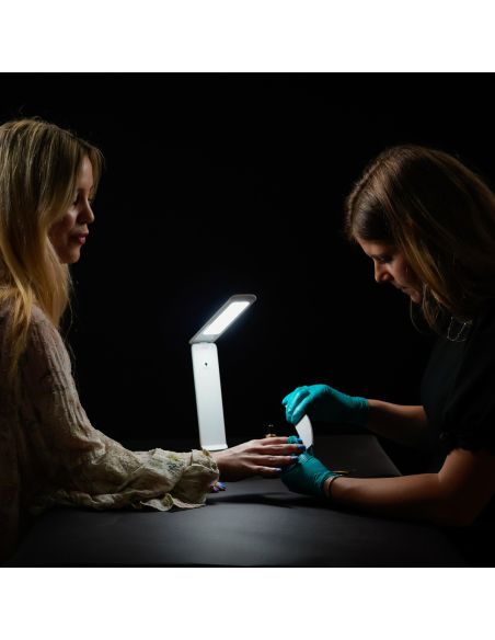 Oplaadbare draagbare lamp Smart Go Daylight