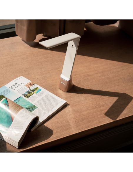 Oplaadbare draagbare lamp Smart Go Daylight