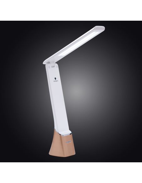 Oplaadbare draagbare lamp Smart Go Daylight