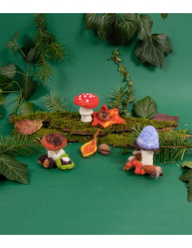 Viltpakket - Paddenstoelen