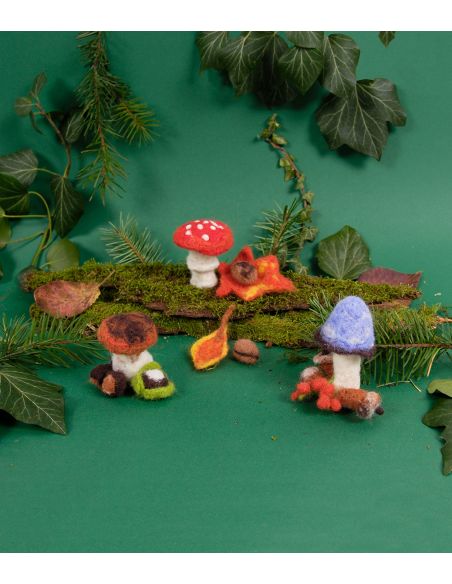 Viltpakket - Paddenstoelen