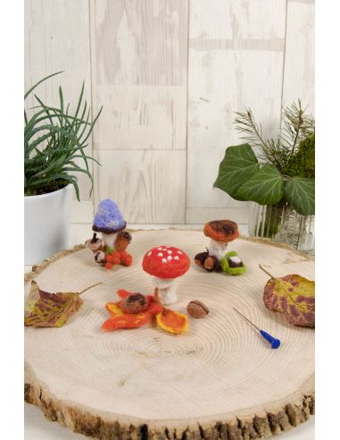 Viltpakket - Paddenstoelen