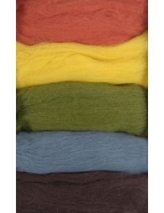 Set van 5 gekaarde wol voor vilten DMC - Herfst 2