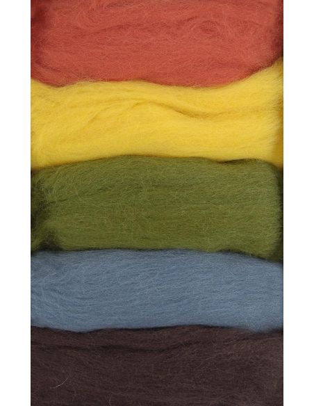 Set van 5 gekaarde wol voor vilten DMC - Herfst