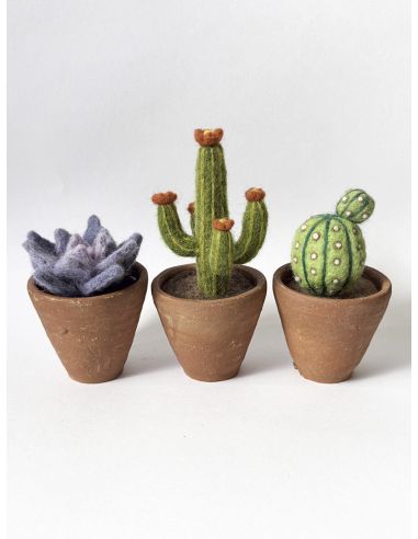 Set van 5 gekaarde wol voor vilten DMC - Boeket