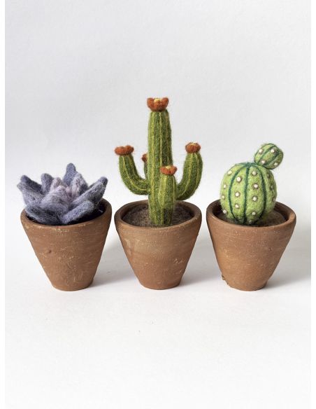 Set van 5 gekaarde wol voor vilten DMC - Boeket