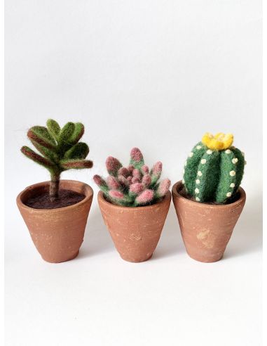 Set van 5 gekaarde wol voor vilten DMC - Lente