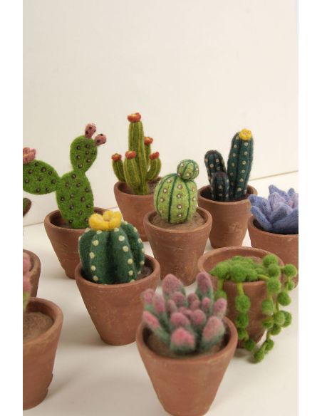 DMC viltcatalogus - Cactussen en vetplanten