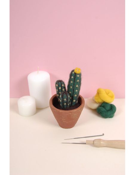 DMC viltcatalogus - Cactussen en vetplanten