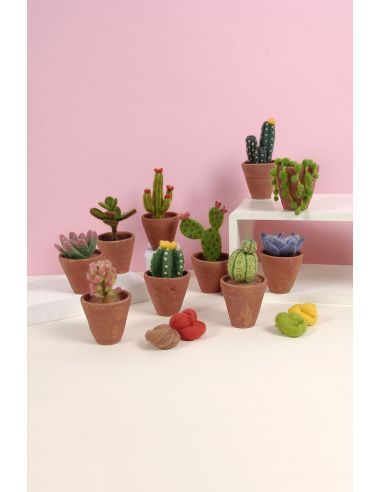 DMC viltcatalogus - Cactussen en vetplanten