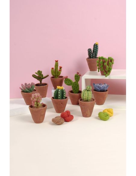 DMC viltcatalogus - Cactussen en vetplanten