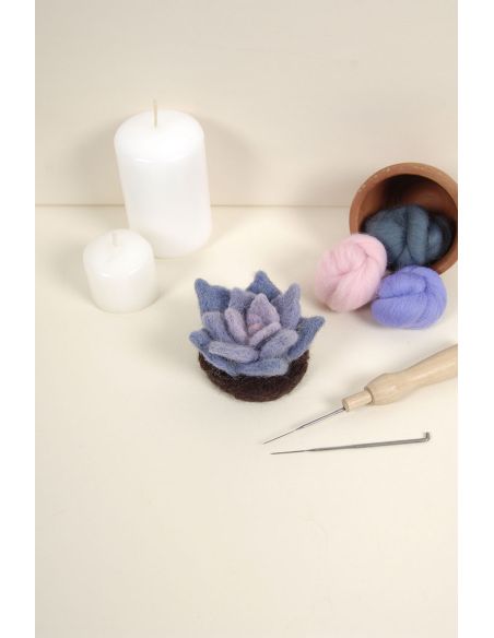 DMC viltcatalogus - Cactussen en vetplanten