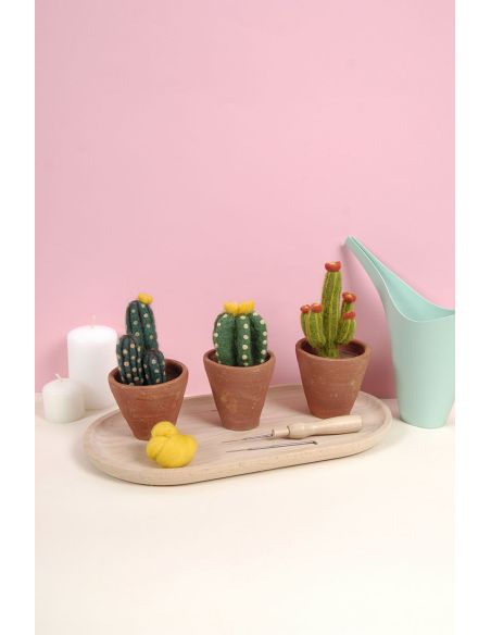 DMC viltcatalogus - Cactussen en vetplanten
