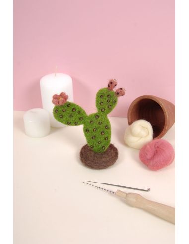 DMC viltcatalogus - Cactussen en vetplanten